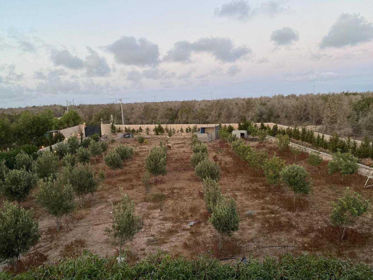 אסאוירה Villa Laarich מראה חיצוני תמונה